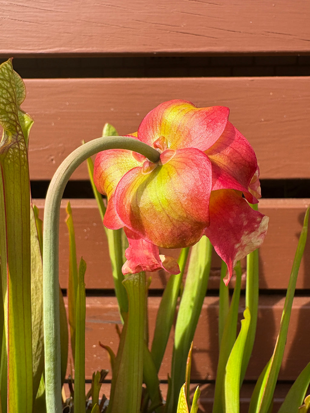 5 - S. 'Colin Clayton'