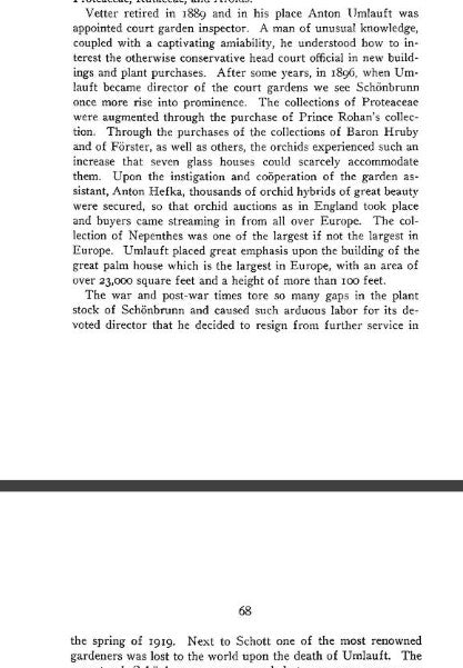 9 - S. ×umlauftiana